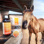 Preview: HorseCare Bio EFM